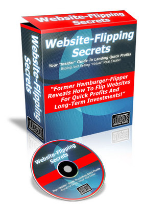Product picture Flipping Websites For Fun And Profit (AudioBook-MP3) with PLR !