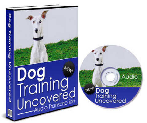 Product picture Dog Training Uncovered - Audio Training (MP3 Format 50+MB)! Articles + Website with Private Label Rights!!