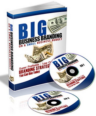 Product picture *NEW!* Big Business Branding On A Small Business Budget - BRANDING STRATEGIES!! Audio Interview(MP3) PLR! 
