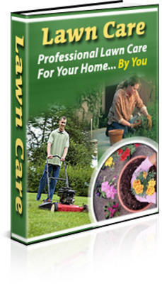 Product picture *NEW!* Caring For Your Lawn - with Private Label Rights (PLR) !!